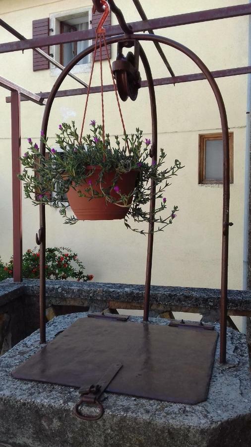 Rural Apartment Carolina Zrenj Buitenkant foto