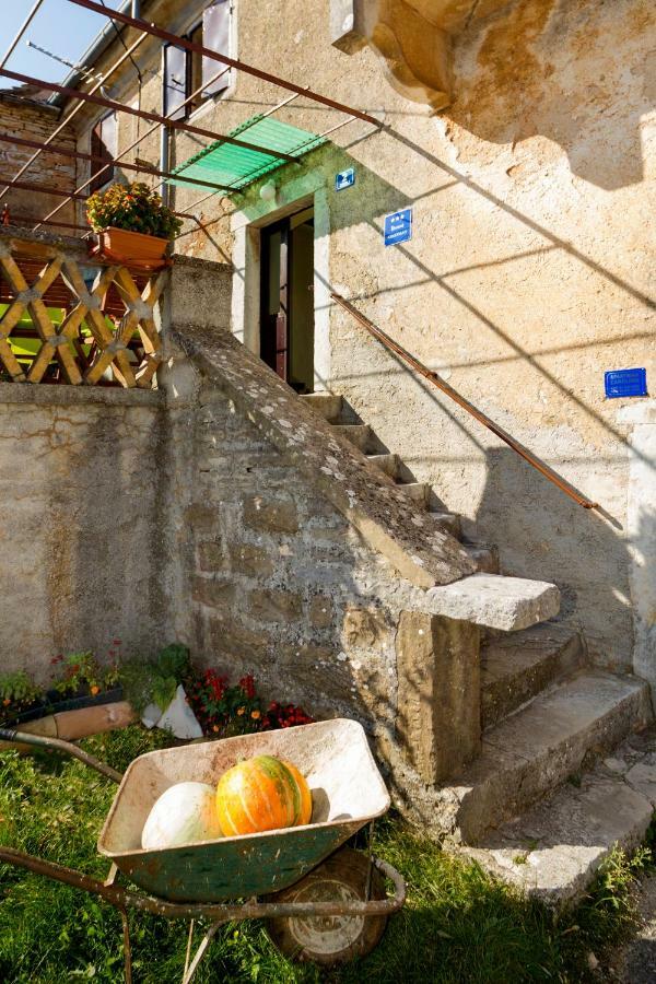 Rural Apartment Carolina Zrenj Buitenkant foto